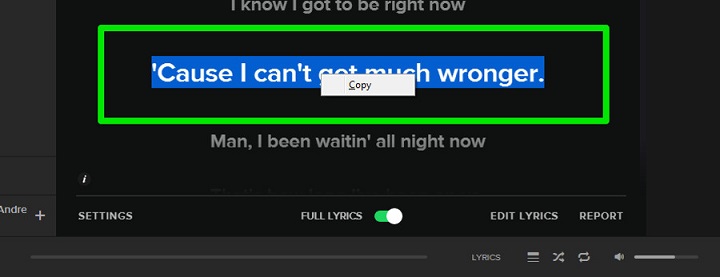 Spotify show lyrics macbook